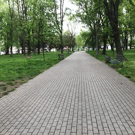Przytulne Mieszkanie Z Widokiem Na Zielen, 2 Osobne Pokoje, Kuchnia, Lazienka, Wi-fi * クラクフ